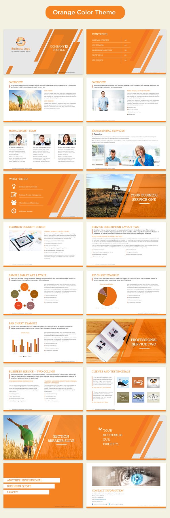 12 Elegant PPT Diagrams to Present Company Structure Template