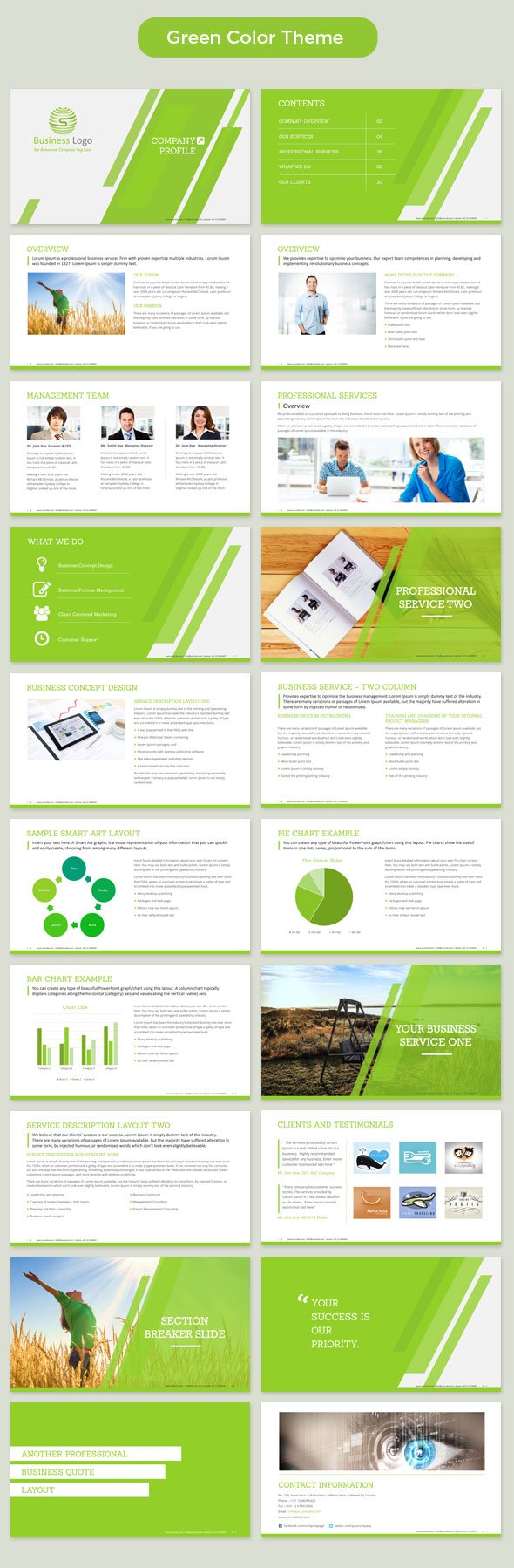 Company Profile Powerpoint Template 800 Company Profile Ppt Slides